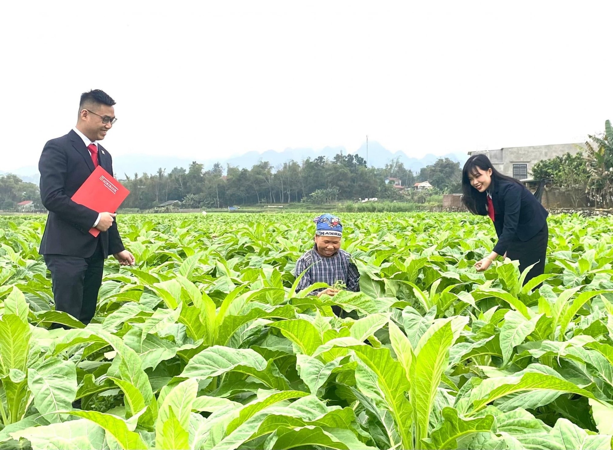 agribank khang dinh vi the dau tau trong su nghiep phat trien tam nong hinh 3