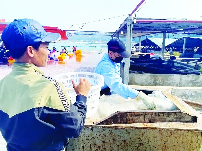 phong su phat thanh can su chan that tu nhien trong tung khoanh khac hinh 3