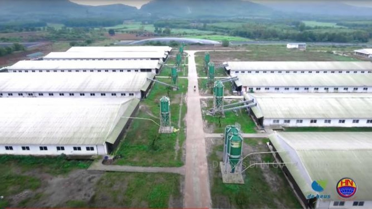 hung nhon group cua doanh nhan vu manh hung tham vong lam nong nghiep cong nghe cao hinh 1