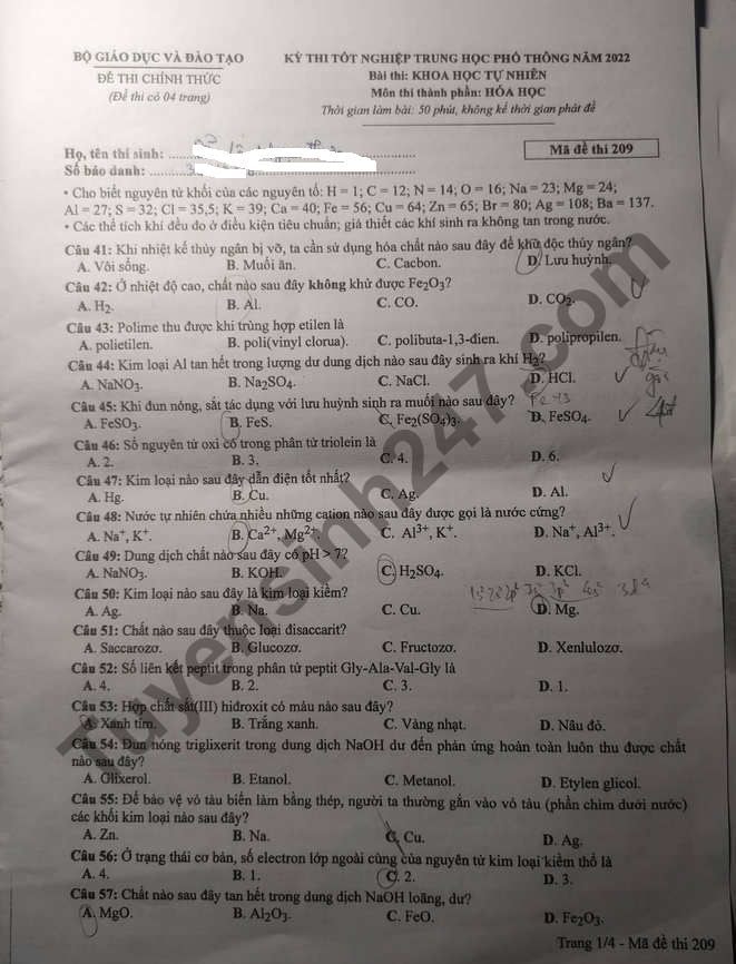 de thi tot nghiep thpt 2022 mon hoa hoc ma de 209 hinh 1