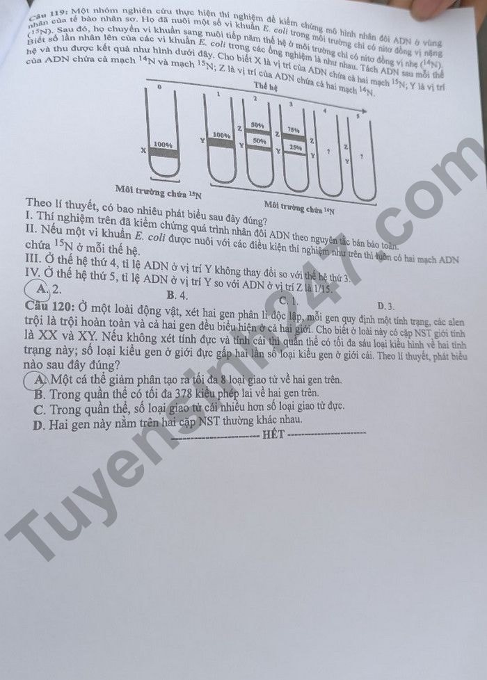 de thi tot nghiep thpt 2022 mon sinh hoc ma de 209 hinh 5