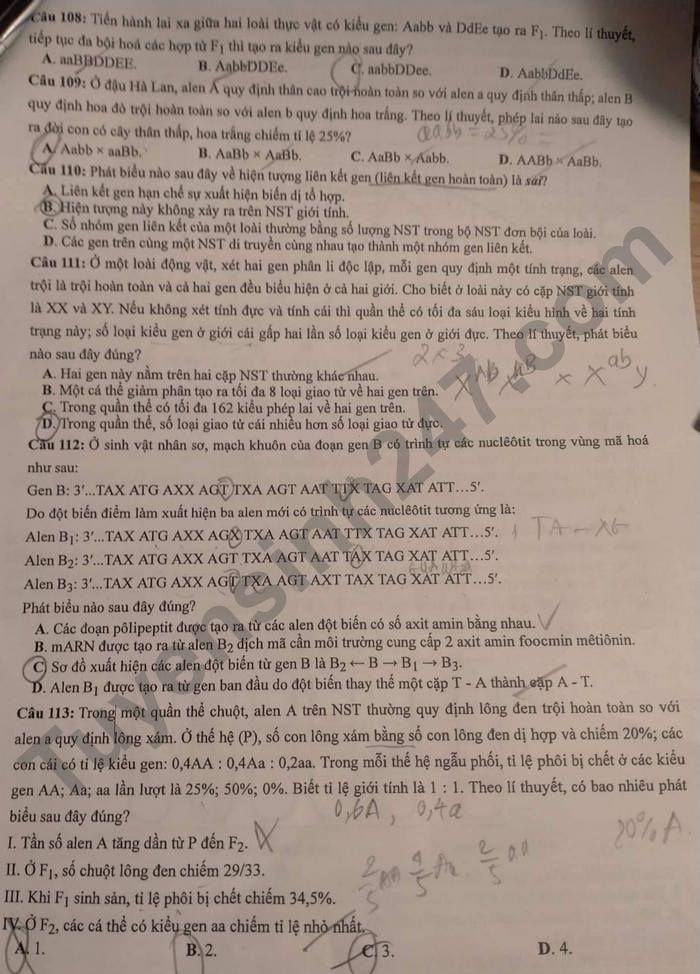 de thi tot nghiep thpt 2022 mon sinh hoc ma de 210 hinh 3
