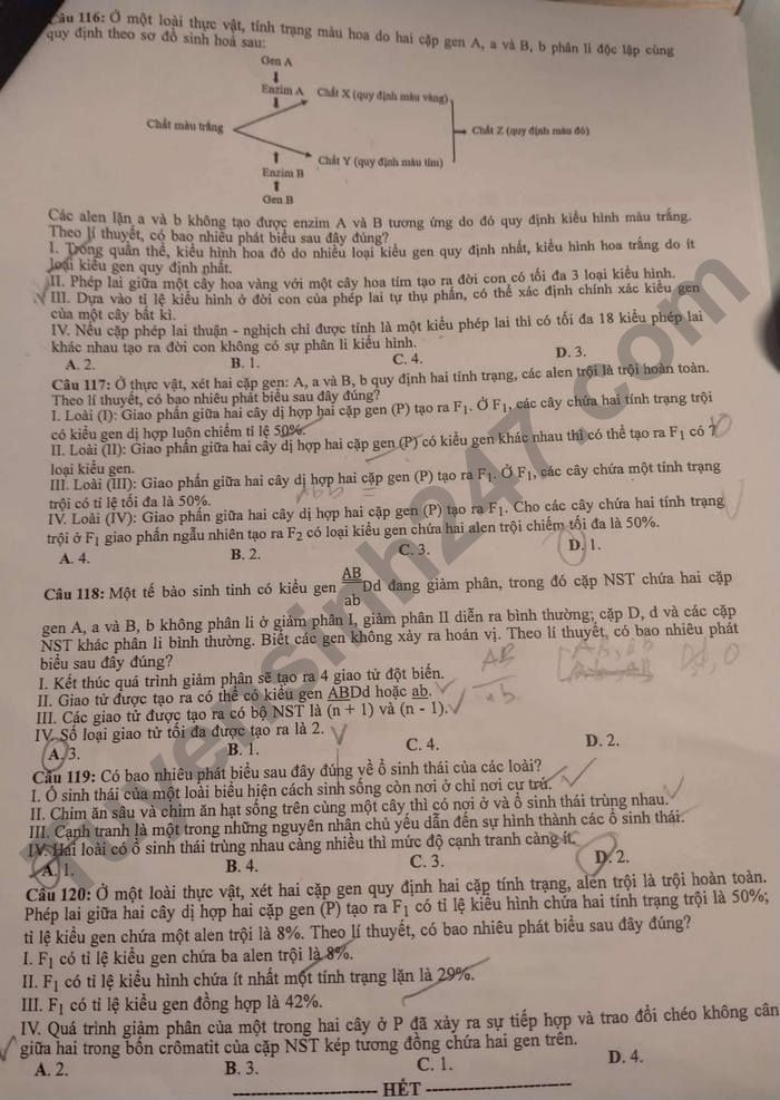 de thi tot nghiep thpt 2022 mon sinh hoc ma de 210 hinh 5