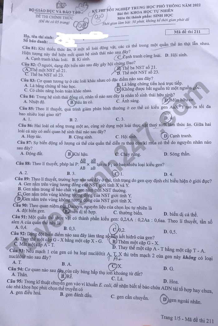 de thi tot nghiep thpt 2022 mon sinh hoc ma de 211 hinh 1