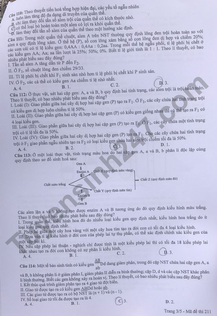 de thi tot nghiep thpt 2022 mon sinh hoc ma de 211 hinh 3