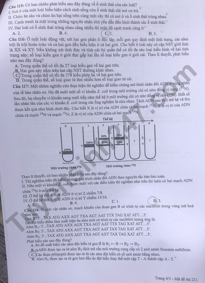 de thi tot nghiep thpt 2022 mon sinh hoc ma de 211 hinh 4