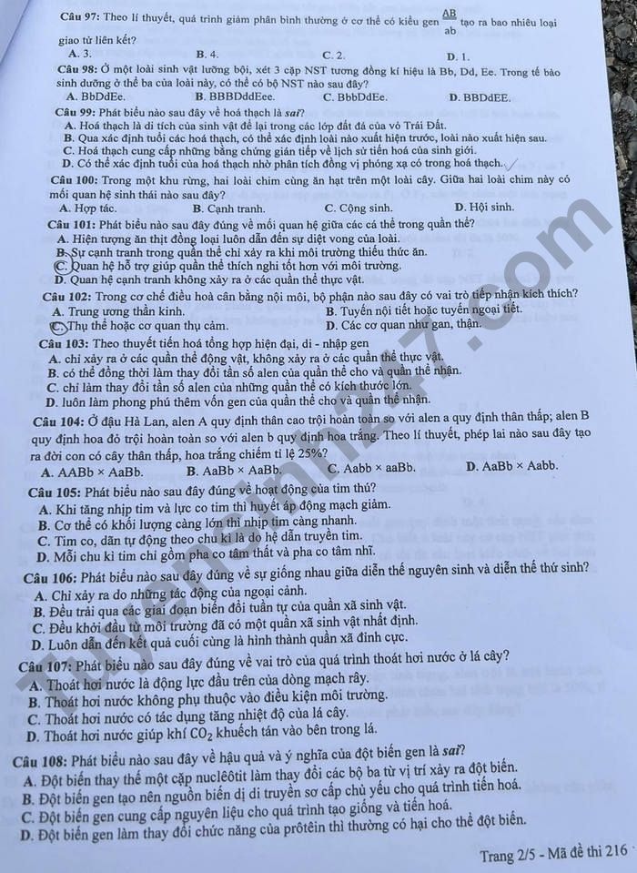 de thi tot nghiep thpt 2022 mon sinh hoc ma de 216 hinh 2