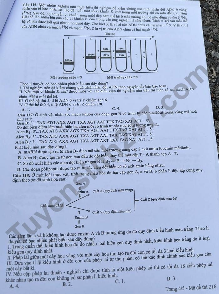 de thi tot nghiep thpt 2022 mon sinh hoc ma de 216 hinh 4