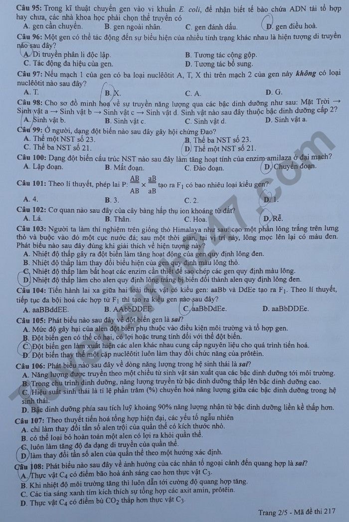 de thi tot nghiep thpt 2022 mon sinh hoc ma de 217 hinh 2