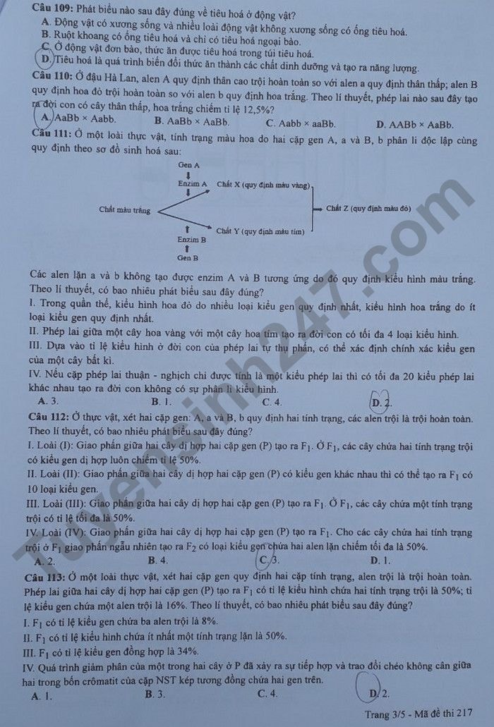 de thi tot nghiep thpt 2022 mon sinh hoc ma de 217 hinh 3