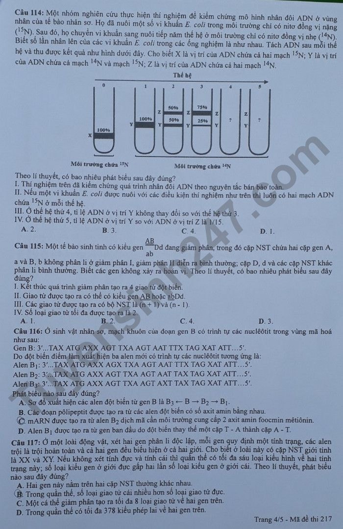 de thi tot nghiep thpt 2022 mon sinh hoc ma de 217 hinh 4