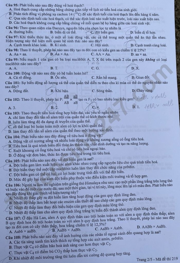 de thi tot nghiep thpt 2022 mon sinh hoc ma de 219 hinh 2