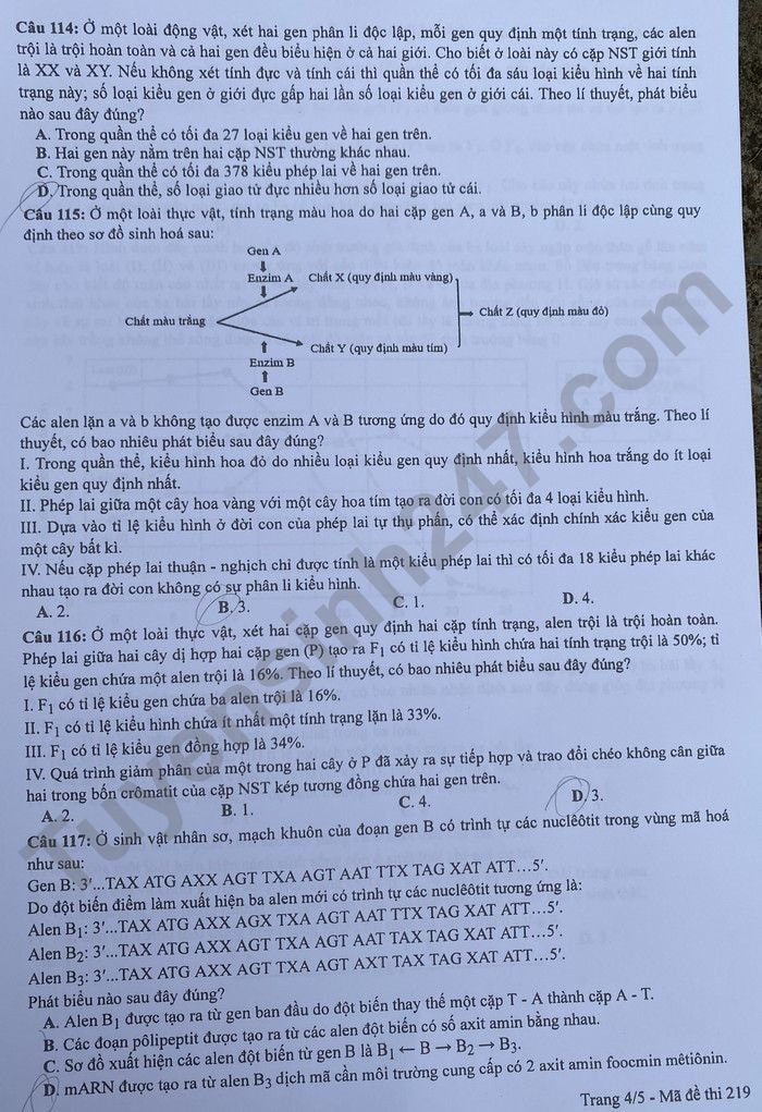 de thi tot nghiep thpt 2022 mon sinh hoc ma de 219 hinh 4