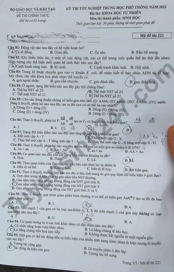 de thi tot nghiep thpt 2022 mon sinh hoc ma de 221 hinh 1