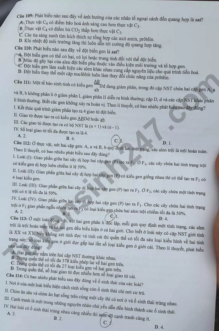 de thi tot nghiep thpt 2022 mon sinh hoc ma de 221 hinh 3