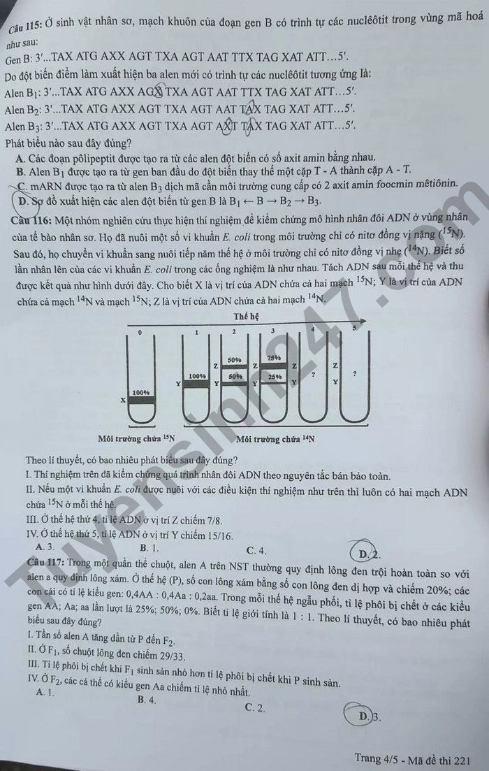de thi tot nghiep thpt 2022 mon sinh hoc ma de 221 hinh 4
