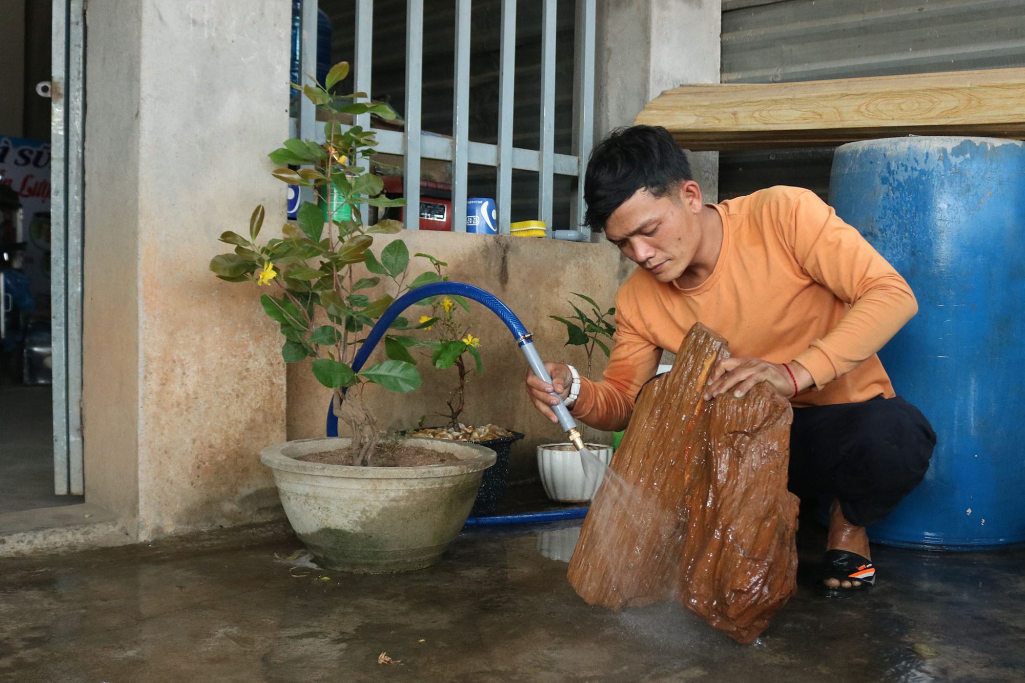 go hoa thach trieu nam tuoi dan can kiet tren cao nguyen gia lai hinh 5