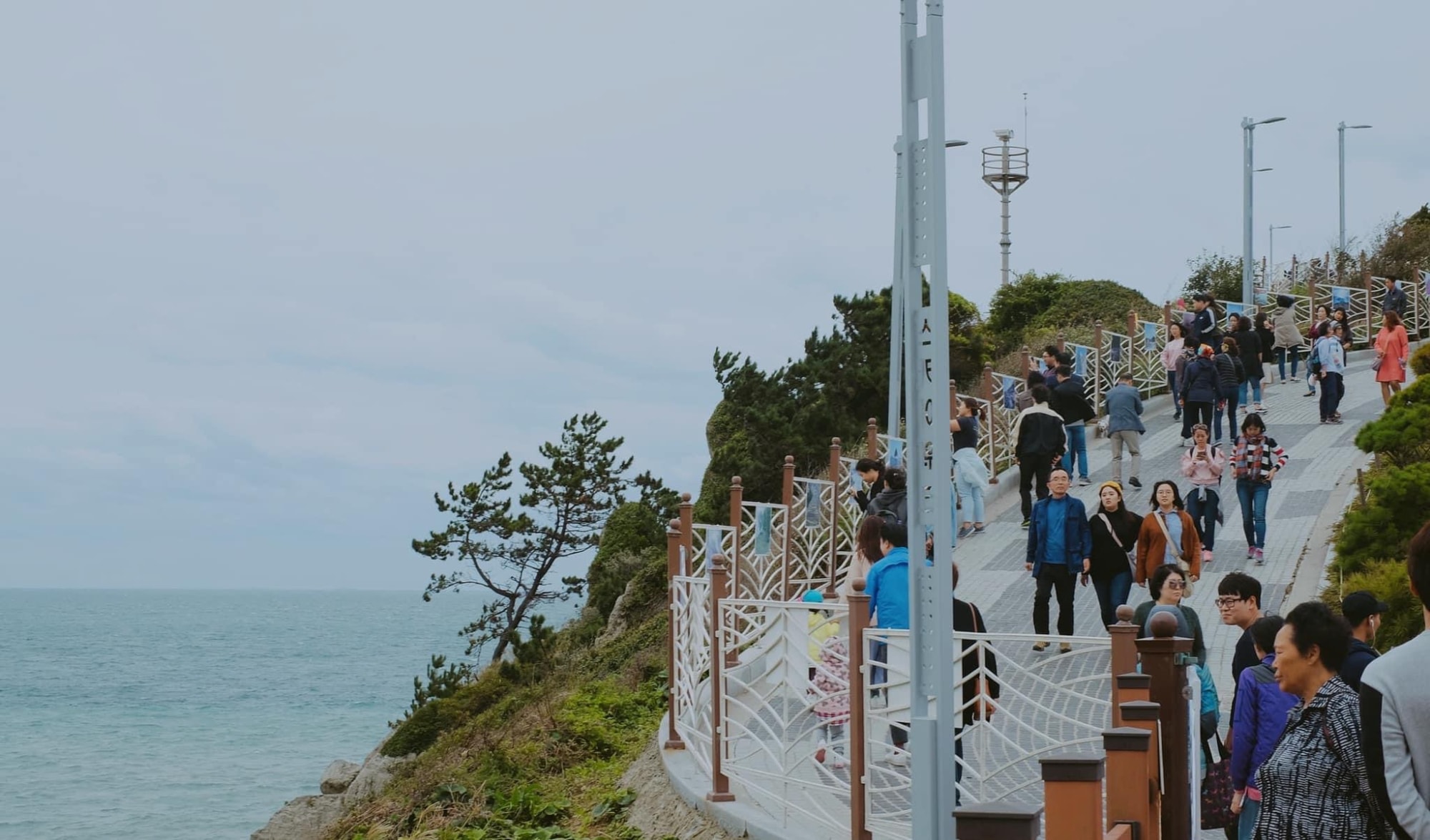 bay toi busan han quoc tu ha noi tp hcm da nang nha trang ve may bay vietjet chi tu 7700 dong hinh 1