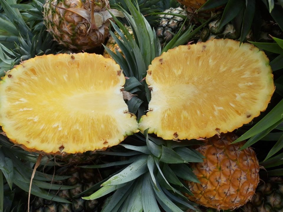 loai dua khong lo khong phai got mat nguoi dan un un mua ve lam nuoc uong giai nhiet hinh 1