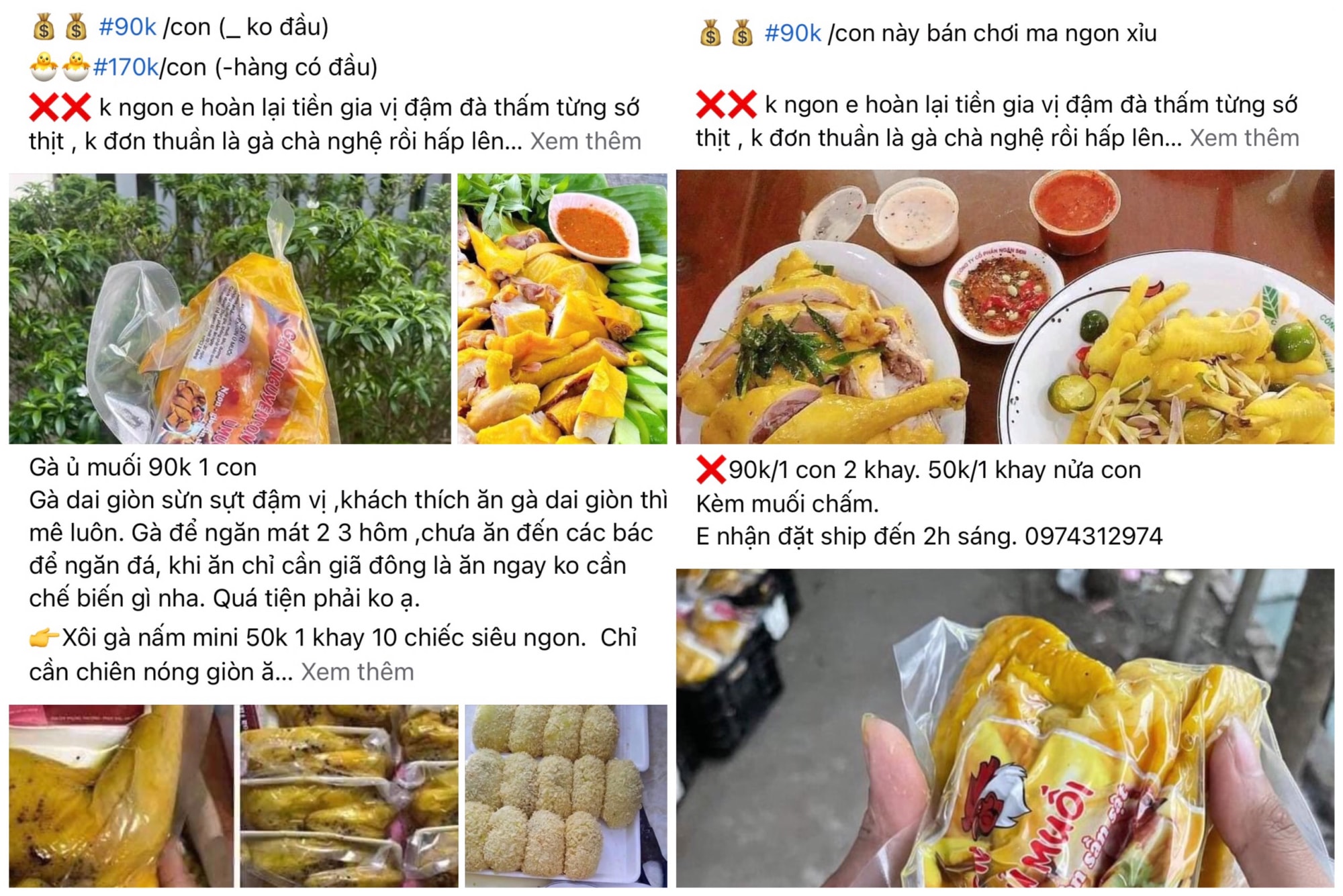 can trong voi ga u muoi hoa tieu gia re tren thi truong hinh 1