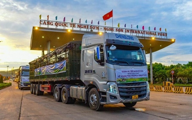 vinamilk tiep nhan thanh cong hon 1500 bo sua nhap tu my ve cac trang trai green farm hinh 3
