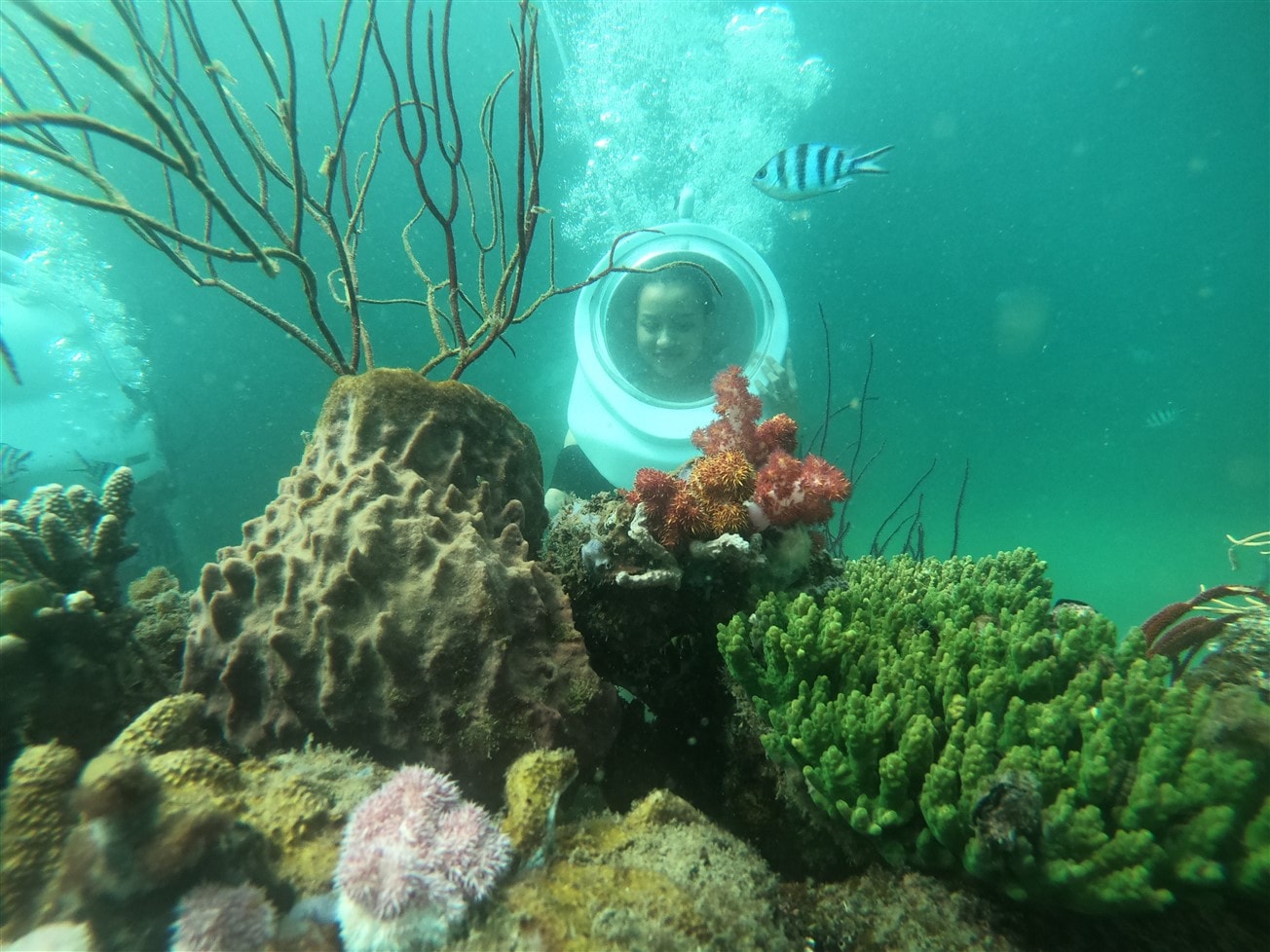 hanh trinh take me to sun world phu quoc nhung trai nghiem mua he soi dong tai dao thien duong hon thom hinh 2