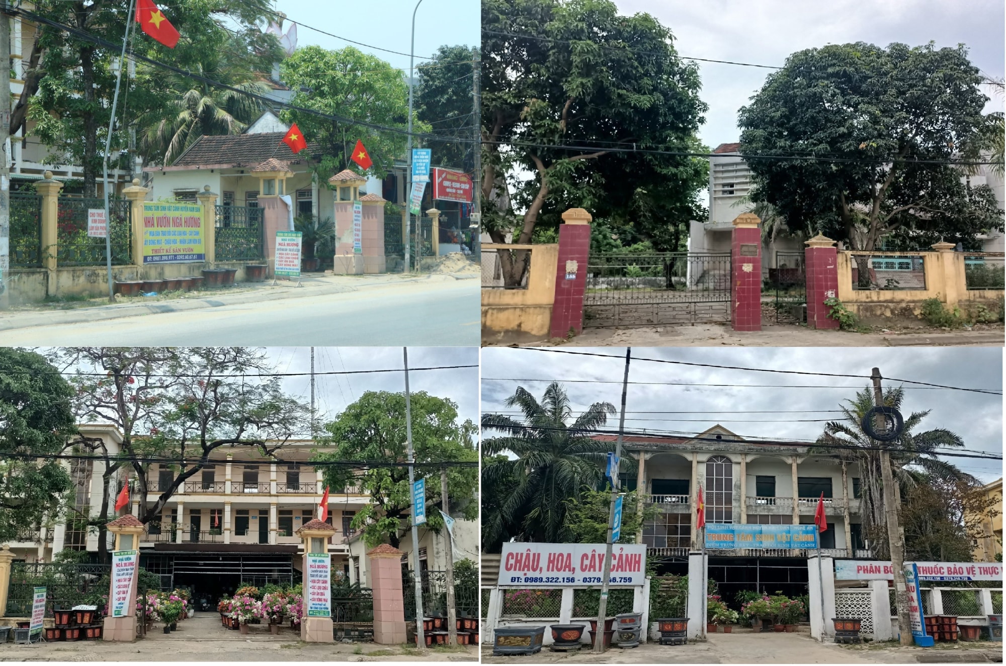 nghe an nha cong so cu va hang nghin met vuong dat vang bi bo hoang hinh 1