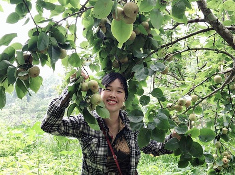trai nghiem hai le vung cao nguyen trang bac ha hinh 4