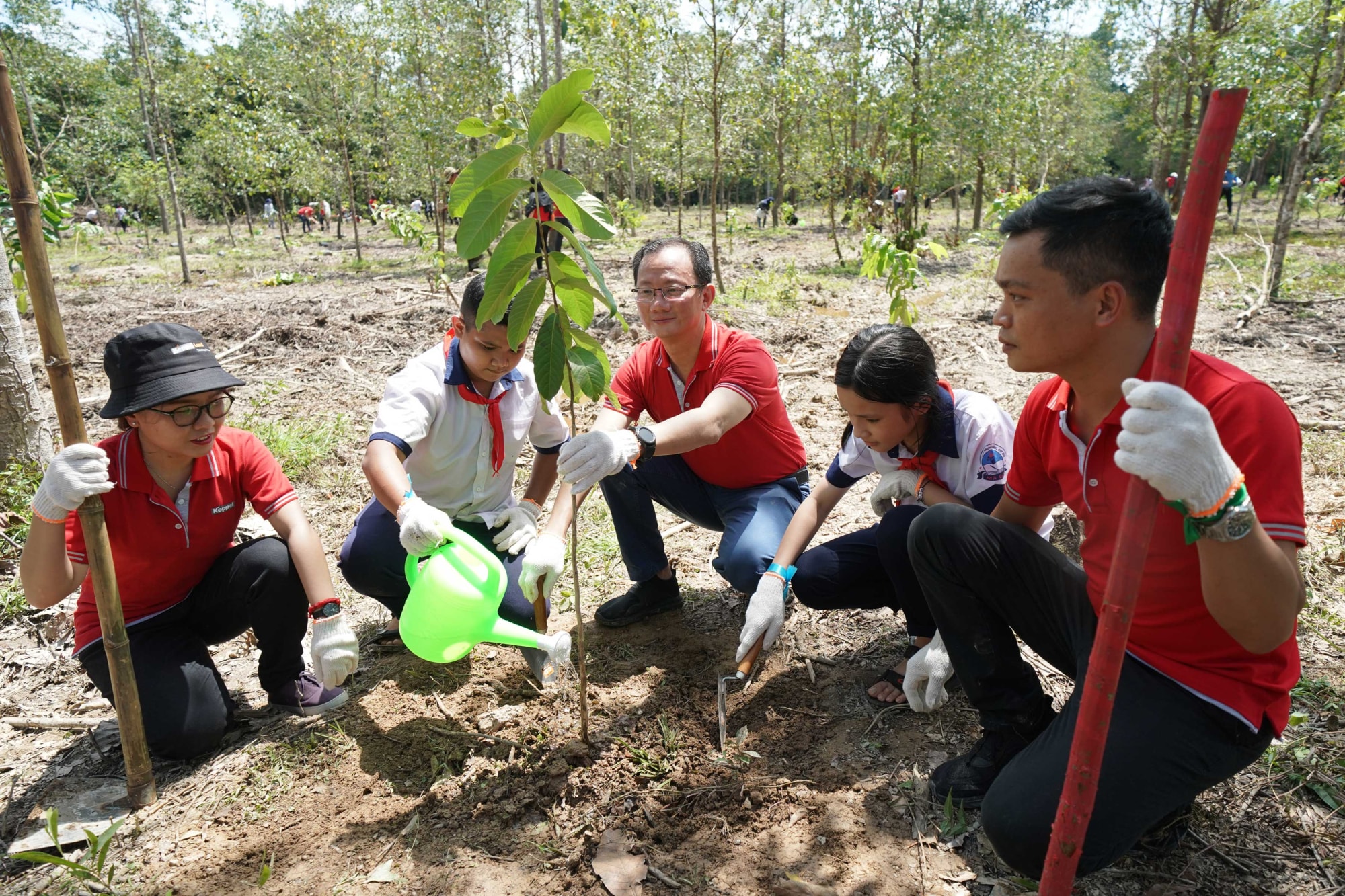 keppelland trong 3000 cay tai khu bao ton thien nhien van hoa dong nai huong ung ngay bao ton thien nhien the gioi hinh 2