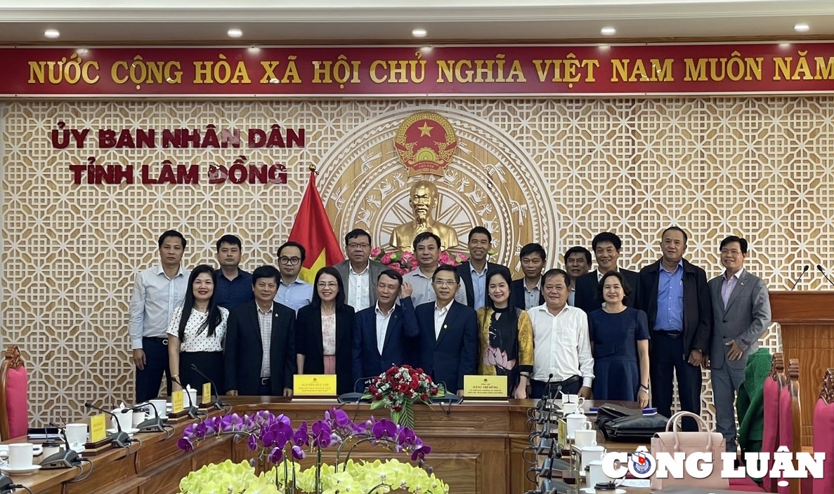 hoi nha bao cac dia phuong phai that su la canh tay noi dai cua hoi nha bao viet nam hinh 5