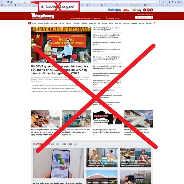 xuat hien website gia mao bao tien phong dien tu hinh 1