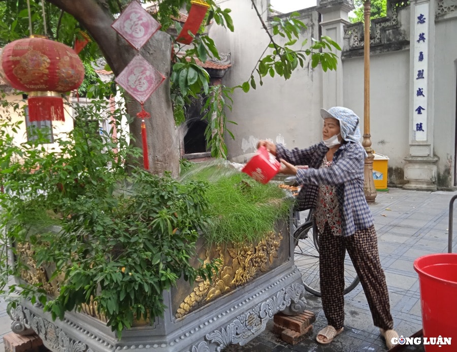 den do  chon linh thieng co kinh bac nhat kinh bac hinh 11