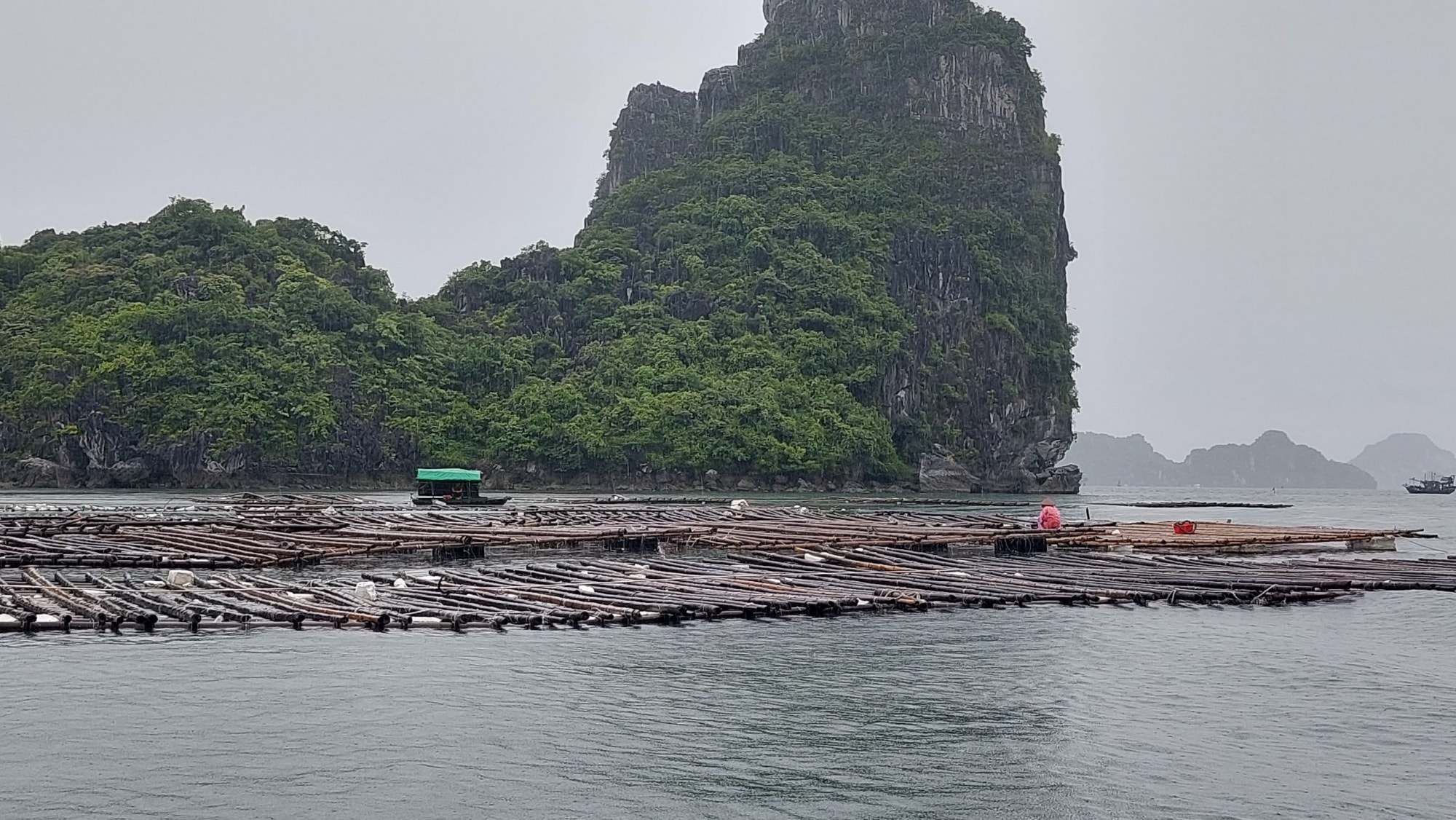 quang ninh thanh pho cam pha ra quan lam sach bien thao do toan bo cong trinh nuoi thuy san trai phep hinh 2