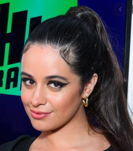 nu ca si camila cabello cong khai hen ho voi ceo cong nghe hinh 1