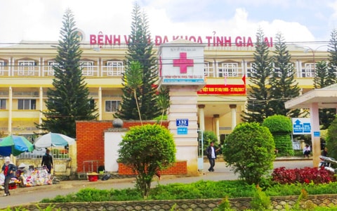 gia lai tiep tuc ghi nhan mot truong hop tu vong do benh dai hinh 1