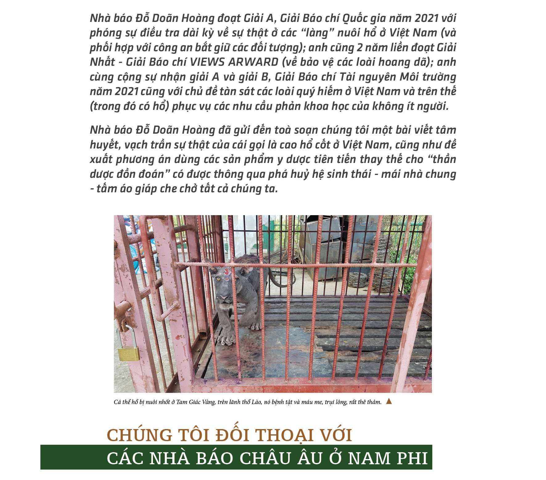 tien mat tat mang vi cong dung don doan cua cao ho cot ca nui cac tinh hoa y duoc sao khong dung hinh 2