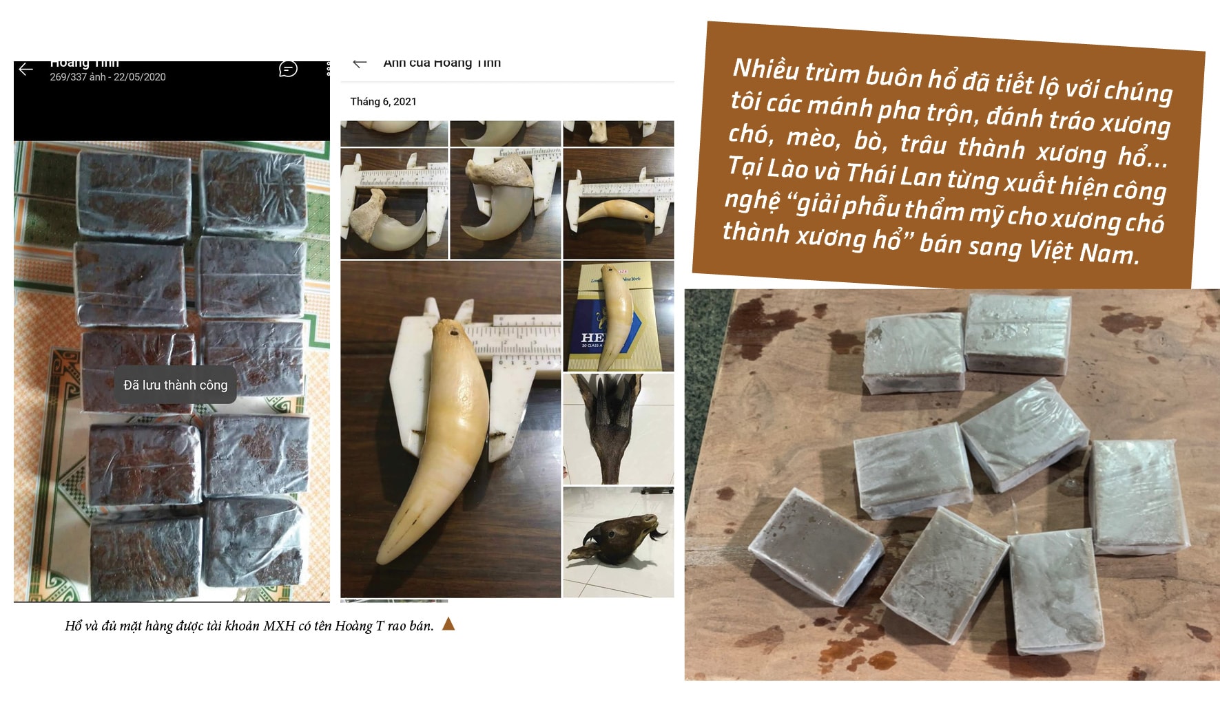 tien mat tat mang vi cong dung don doan cua cao ho cot ca nui cac tinh hoa y duoc sao khong dung hinh 7