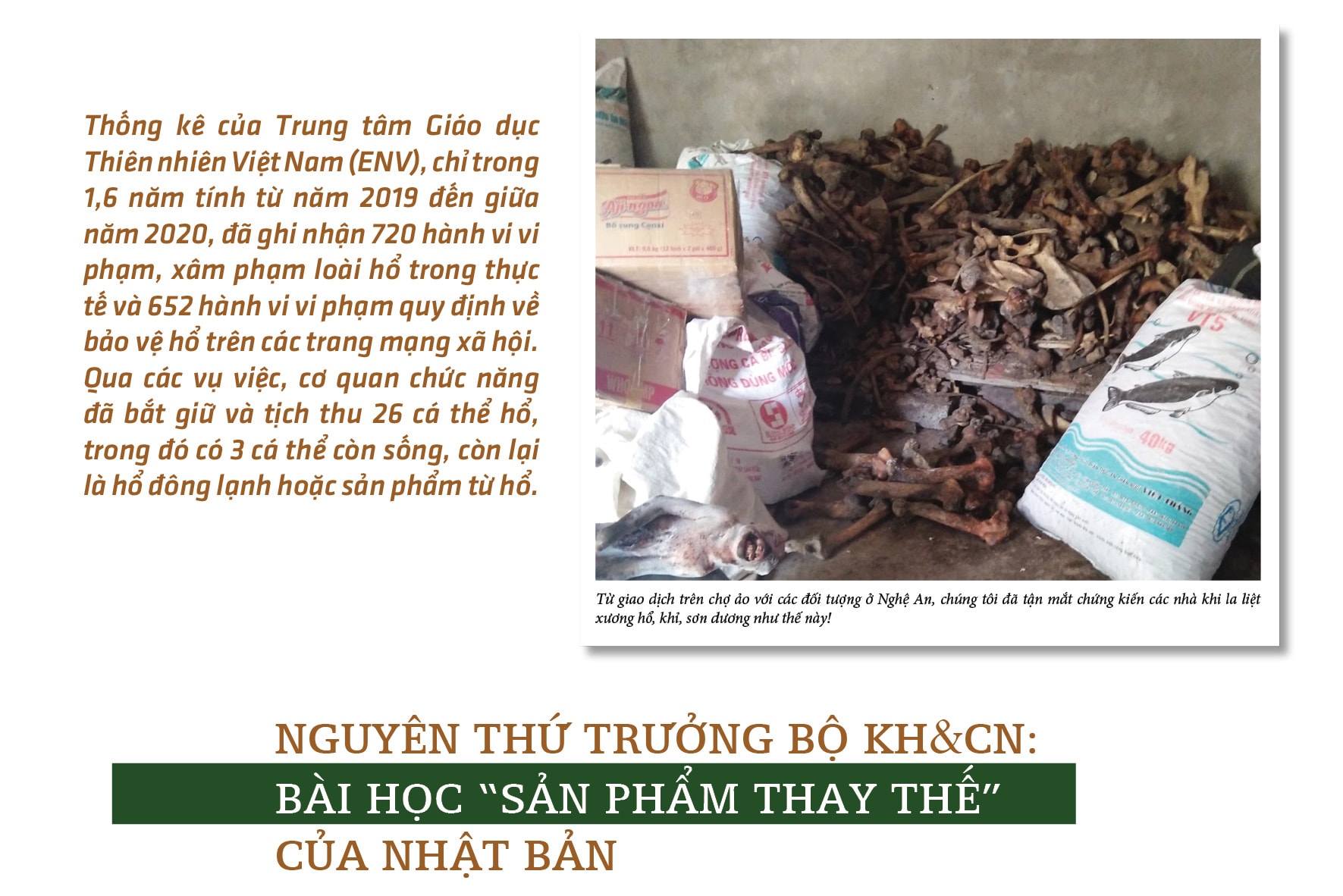 tien mat tat mang vi cong dung don doan cua cao ho cot ca nui cac tinh hoa y duoc sao khong dung hinh 8