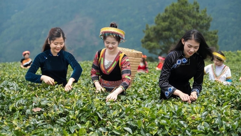 tai tham dinh danh hieu cong vien dia chat toan cau non nuoc cao bang hinh 6