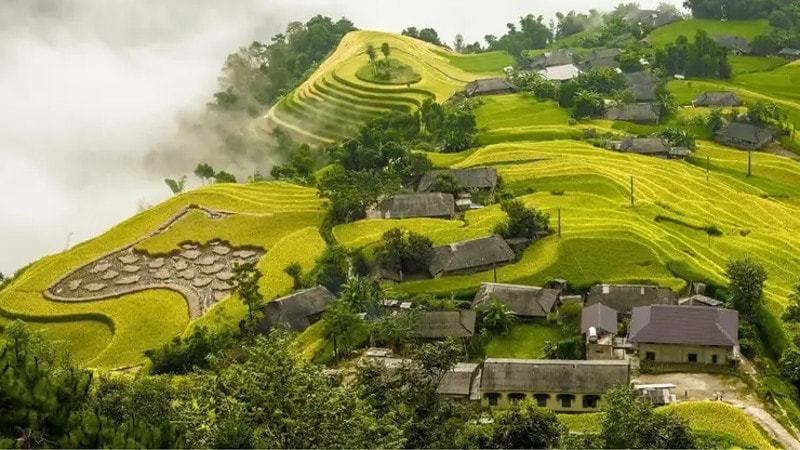 dep me hon nhung canh dong lua chin vao thu hinh 3