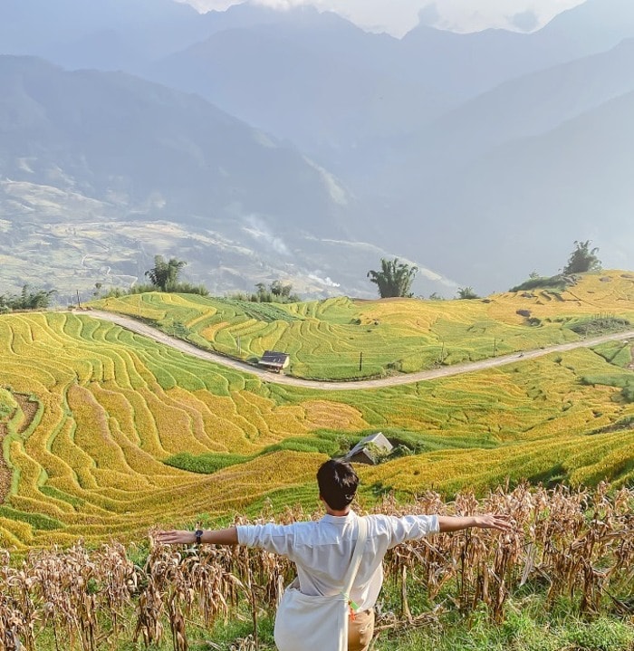 dep me hon nhung canh dong lua chin vao thu hinh 4