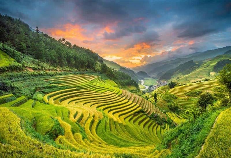 dep me hon nhung canh dong lua chin vao thu hinh 6