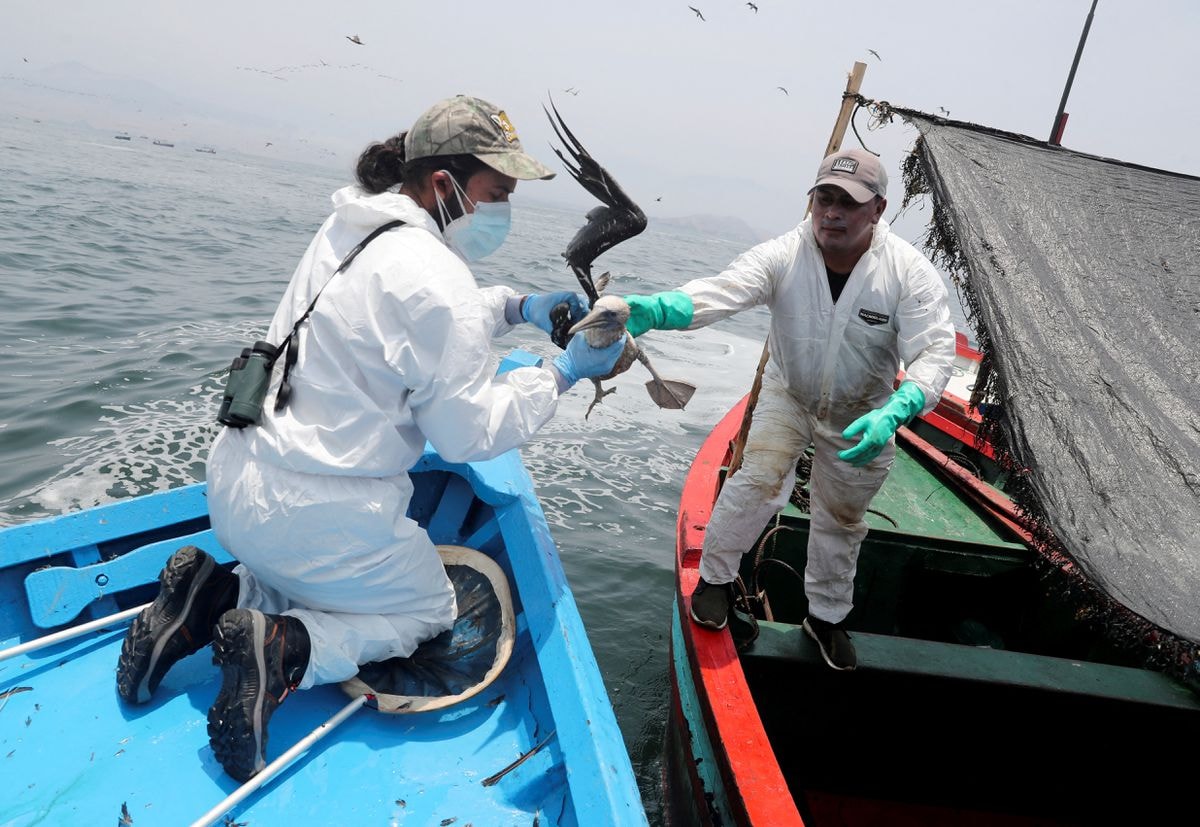 peru kien repsol boi thuong 45 ty usd vi vu tran dau hinh 1