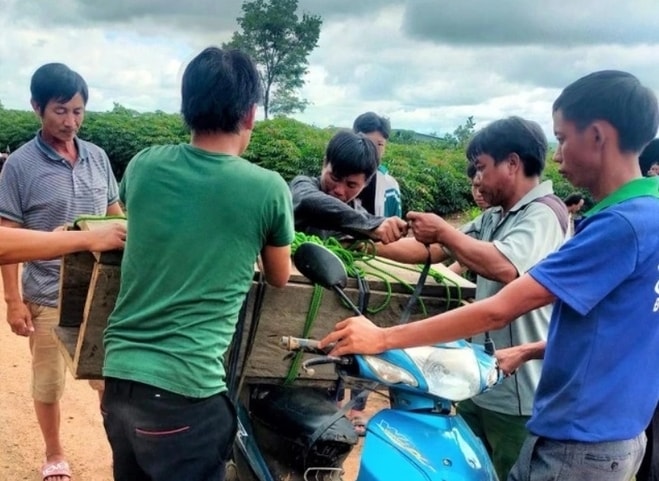thong tin be 3 tuoi tu vong khong co dat chon la sai su that hinh 1