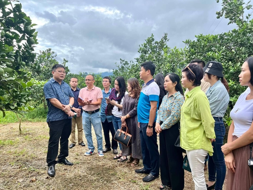 hoi nha bao nghe an to chuc chuyen di thuc te cho phong vien tai mien nui huyen con cuong hinh 1