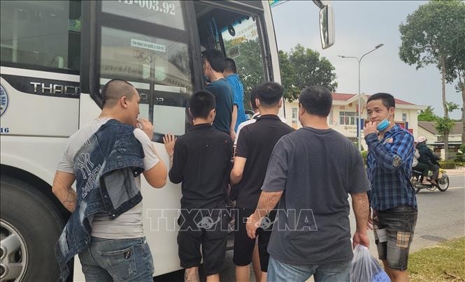 dua ve nuoc an toan hon 600 cong dan bi lua moi gioi lao dong bat hop phap tai campuchia hinh 1