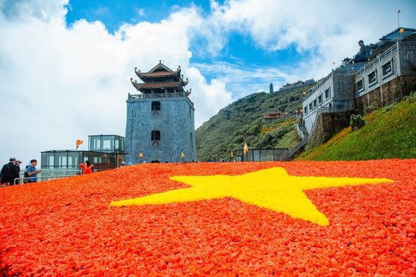 la co to quoc khong lo tren nui fansipan ket tu 150000 bong hoa hong hinh 1