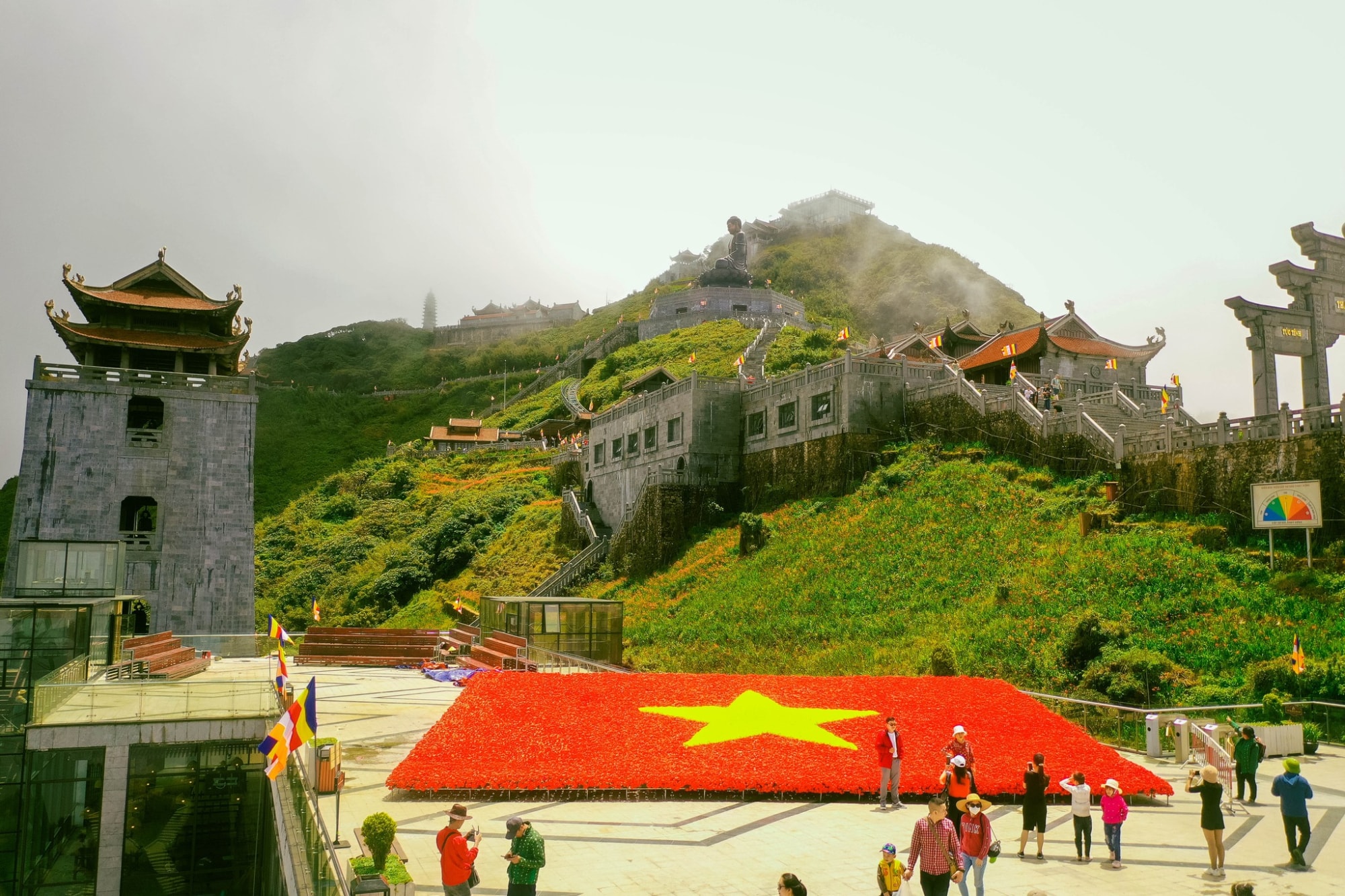 la co to quoc khong lo tren nui fansipan ket tu 150000 bong hoa hong hinh 2