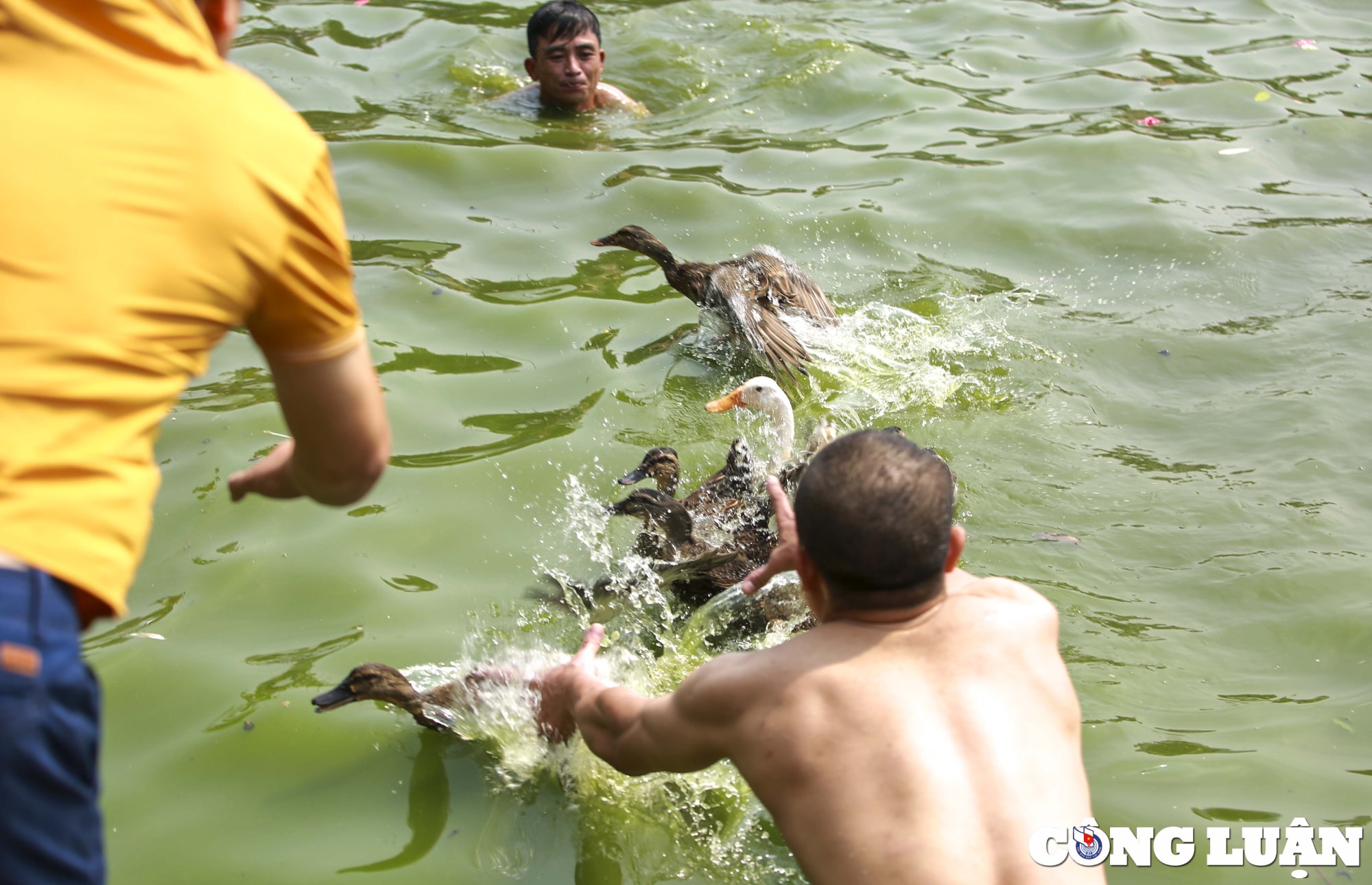 ha noi doc dao tro choi nem buoi bat vit tai ao chua trieu khuc hinh 15