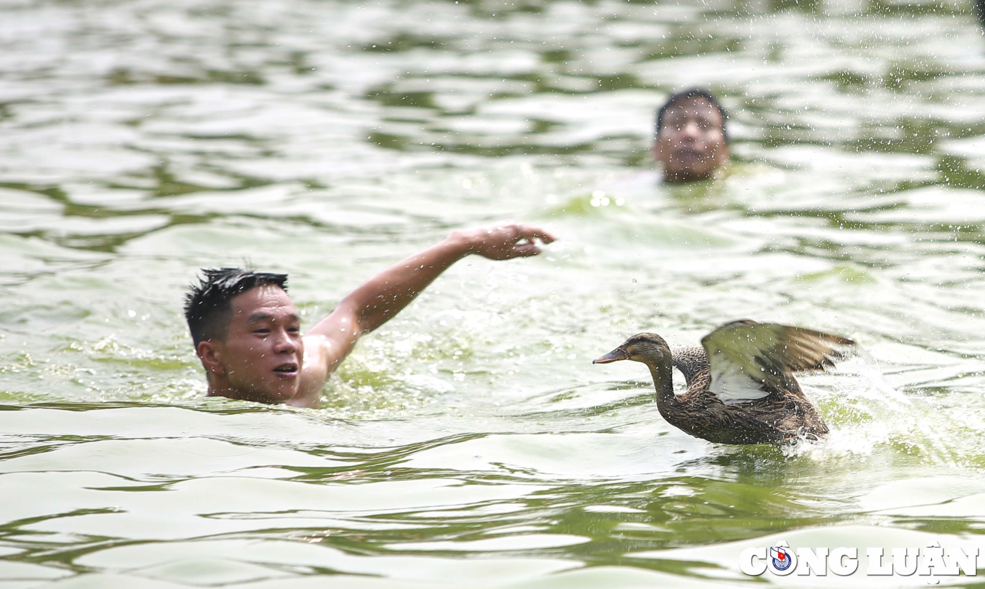 ha noi doc dao tro choi nem buoi bat vit tai ao chua trieu khuc hinh 10